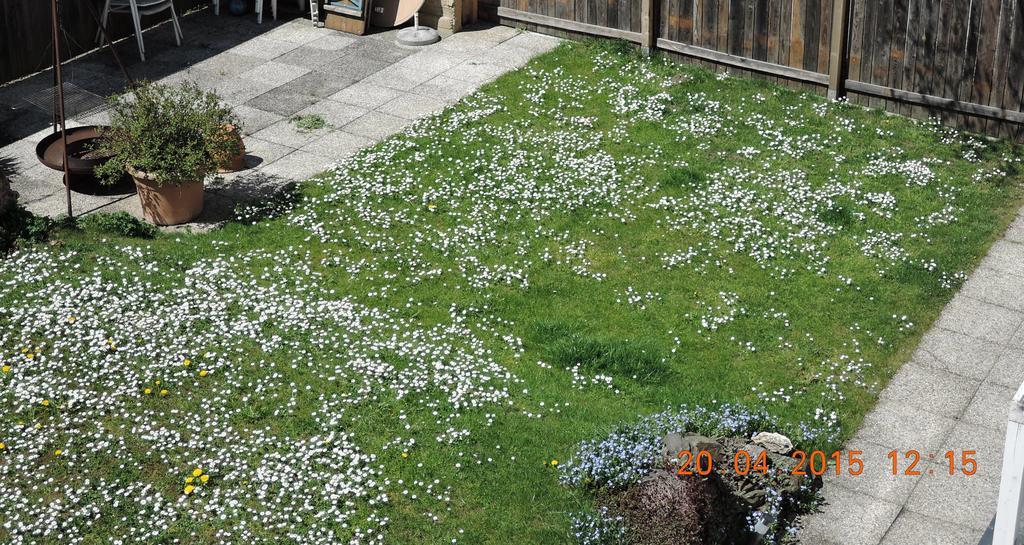 Stadtnahe Landwohnung Klagenfurt am Woerthersee Bagian luar foto