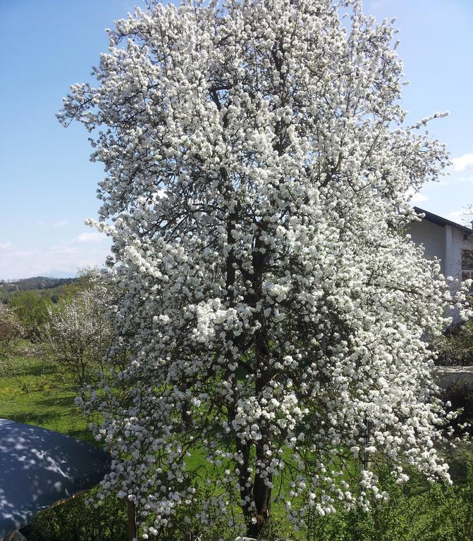 Stadtnahe Landwohnung Klagenfurt am Woerthersee Bagian luar foto